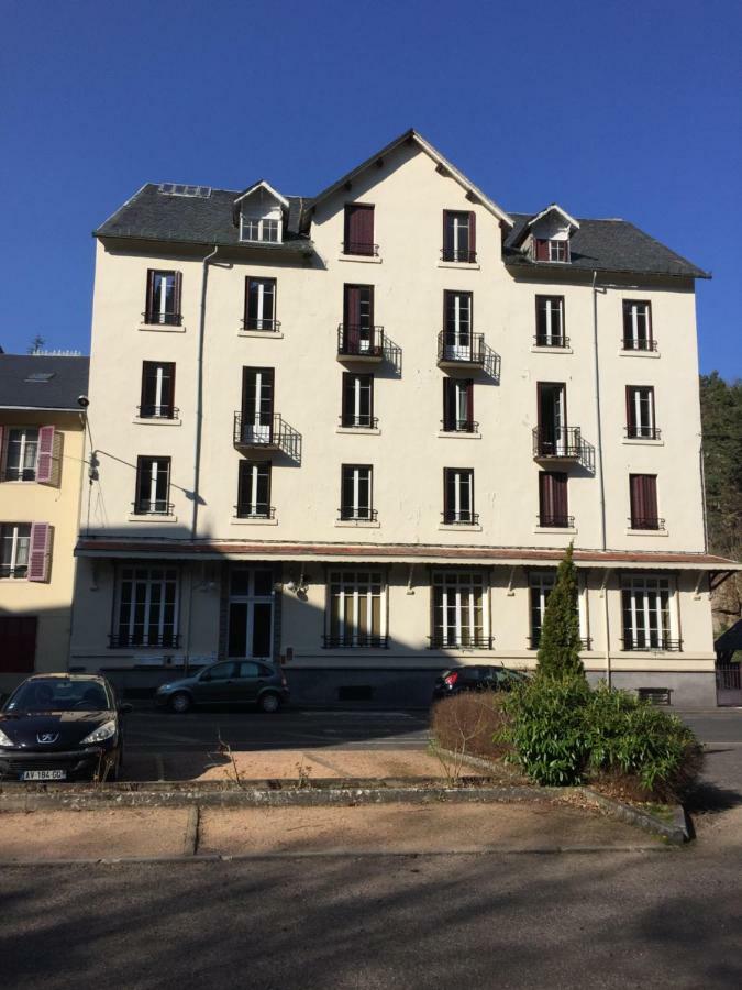 Magnifique Et Lumineux Appartement Au Coeur Du Sancy Saint-Nectaire Buitenkant foto
